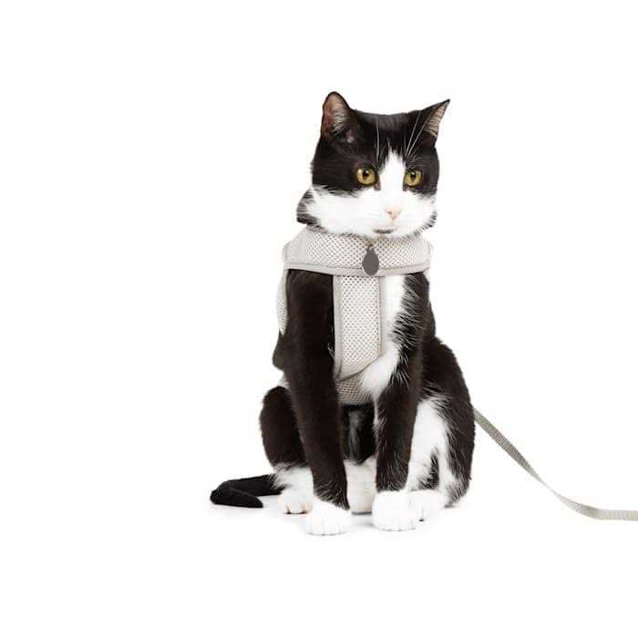 Mesh Safety Gray Cat Harness B5515