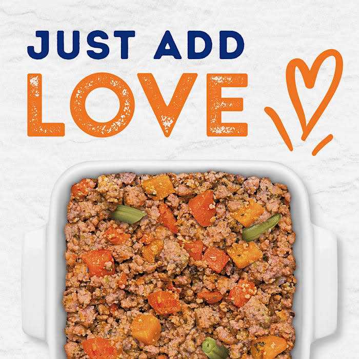Savory Duck & Pumpkin Recipe Wet Dog Food R953