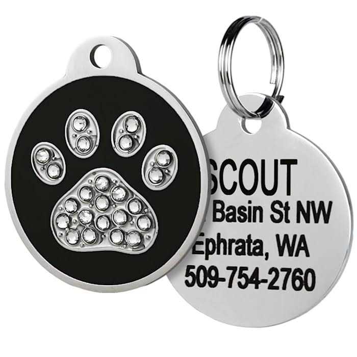 Stainless Steel Personalized Dog & Cat ID Tag Z7375