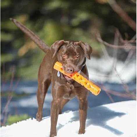 Air Fetch Stick Dog Toy R575