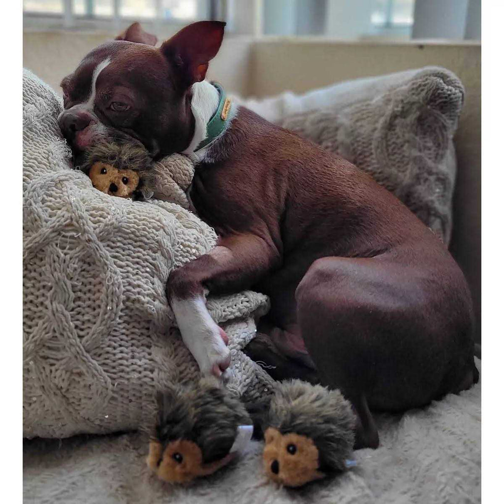 Dog Toys P81488