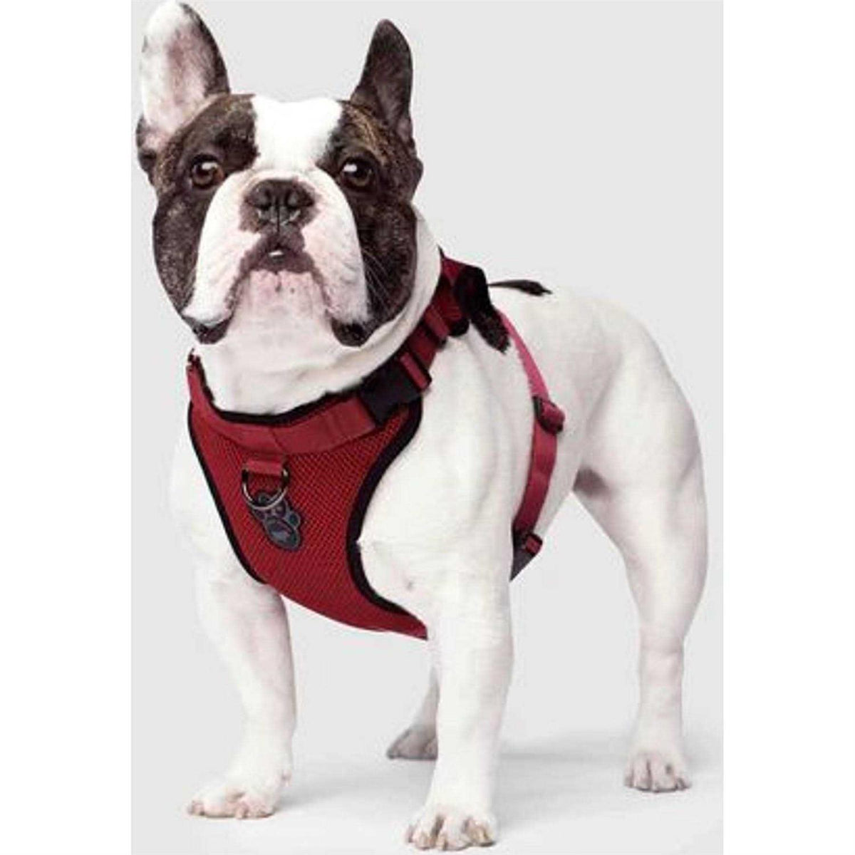Dog Harness H5893