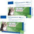 for Cats (6 Doses) K72748
