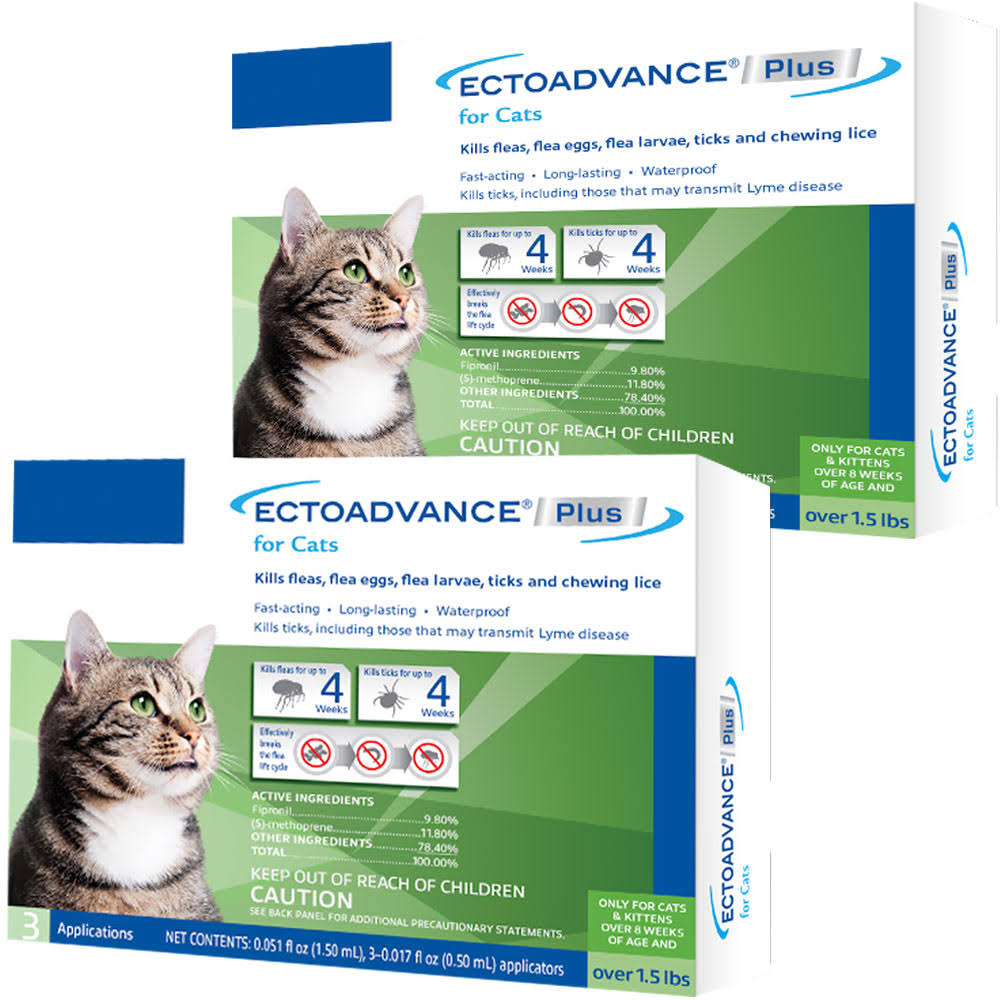 for Cats (6 Doses) K72748