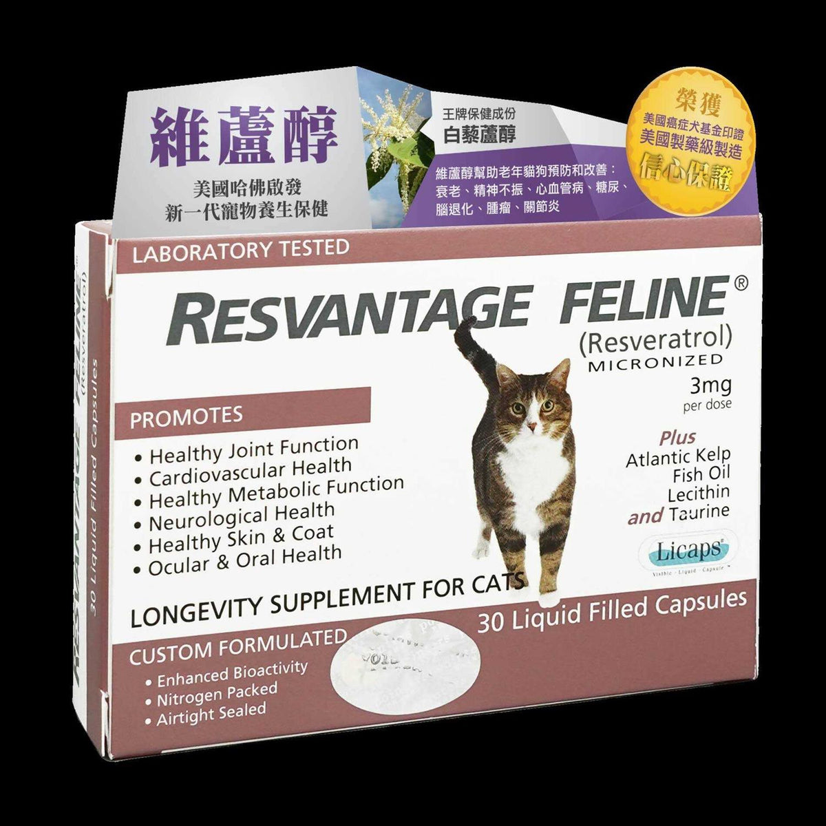 Feline R39691