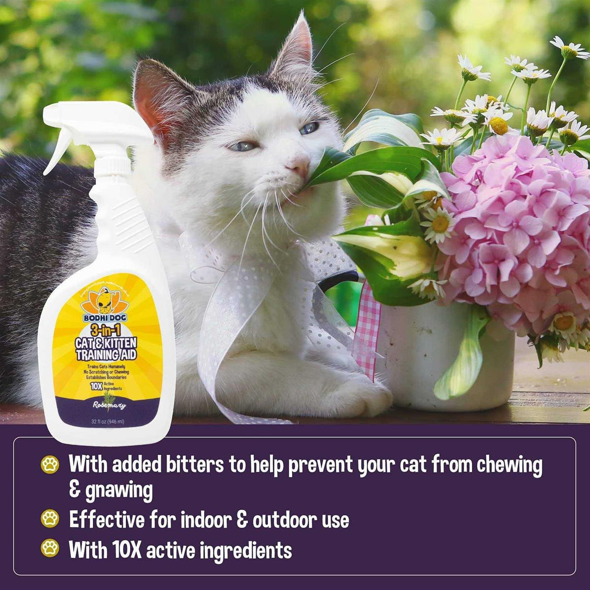 Cat Training Aid Spray V364115