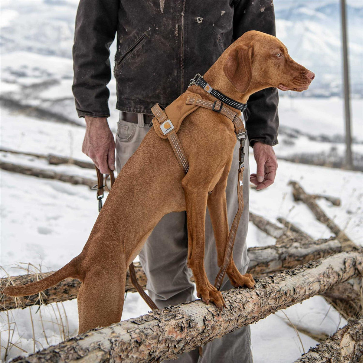 Nylon Duck Dog Harness U3699