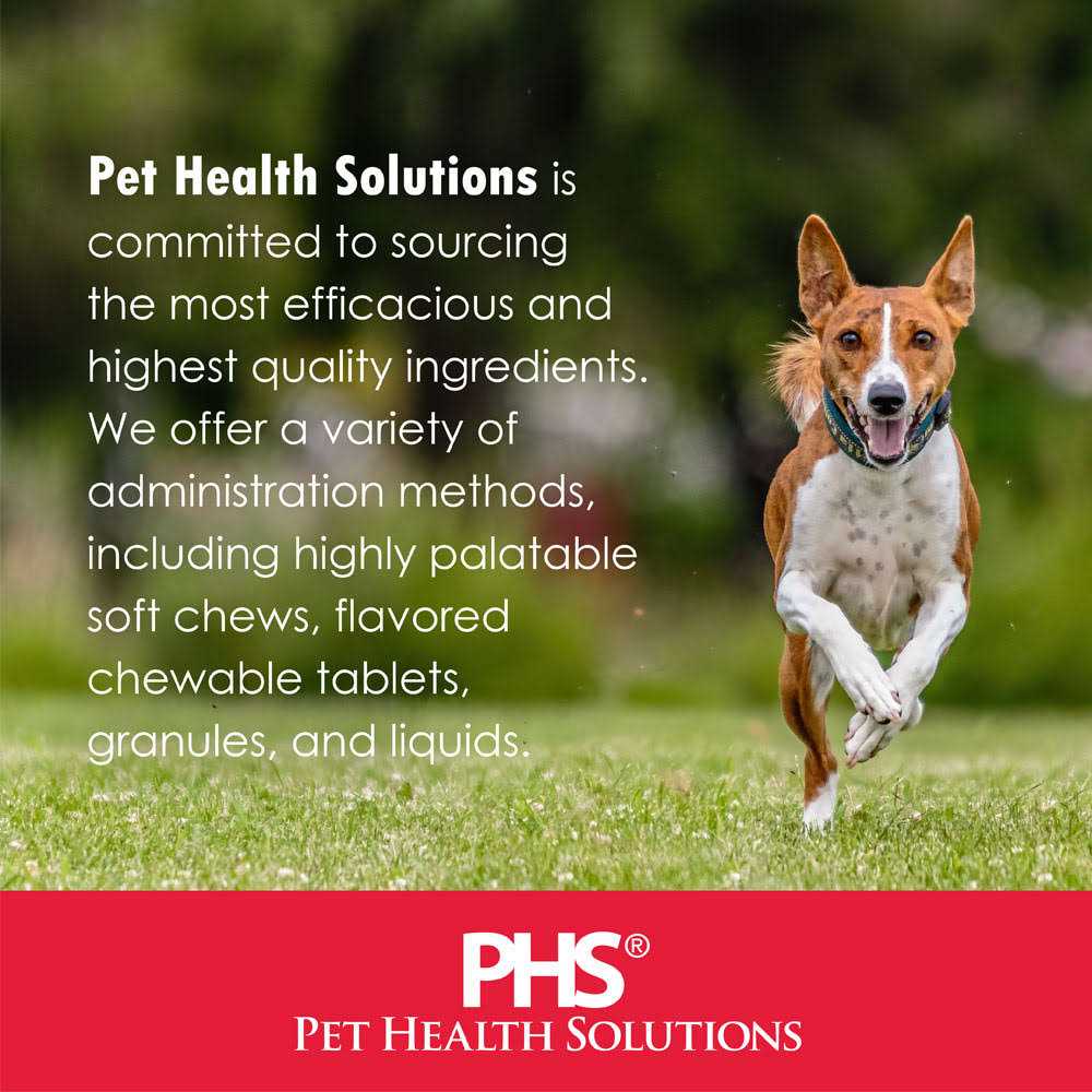 Oral Hygiene Dental Dog Treats I539324
