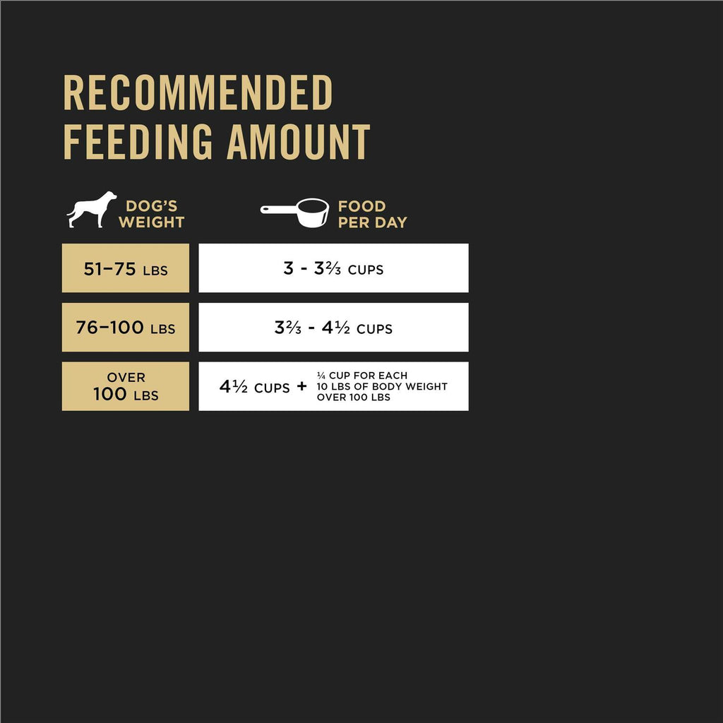 Dry Dog Food N193340