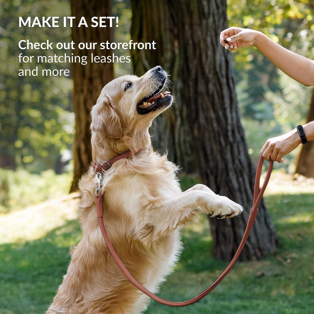 Rolled Leather Dog Collar N34153