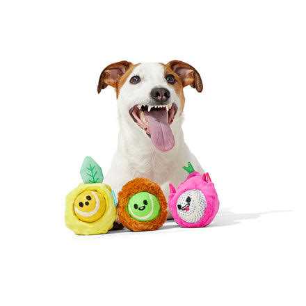 Dog Toys Squeaker Ball Toys C542