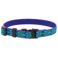 Dog Collar D6446