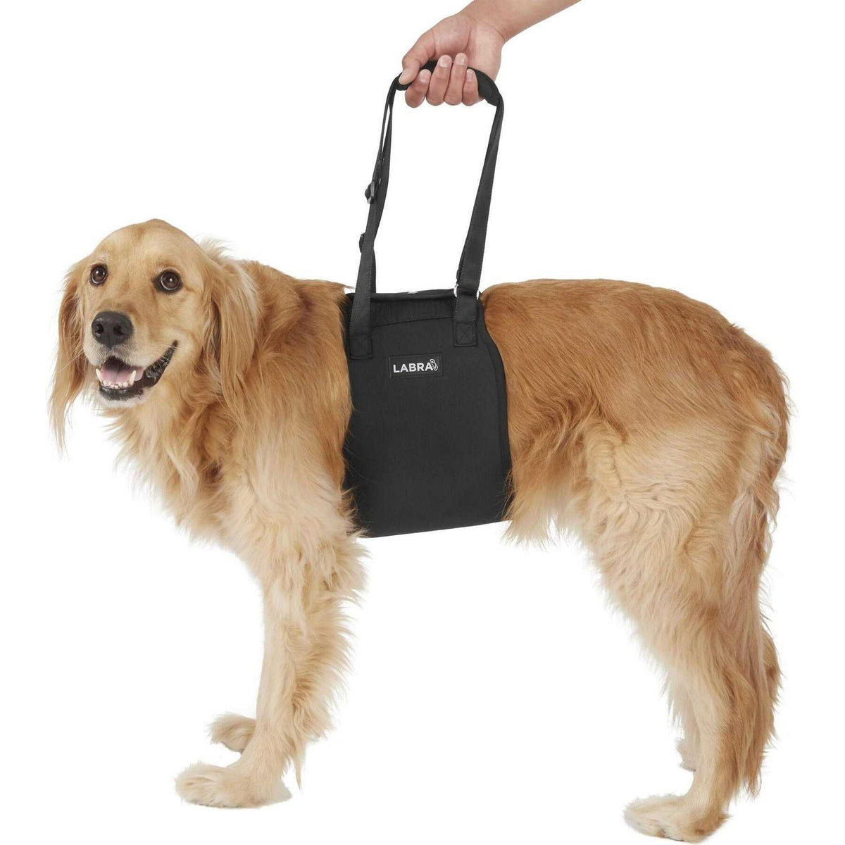 Veterinarian Approved Dog Sling Lift Adjustable Support Harness C31121