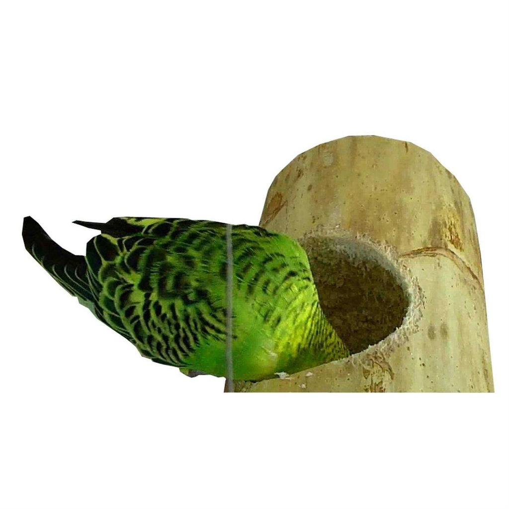 Bird Playnest H217