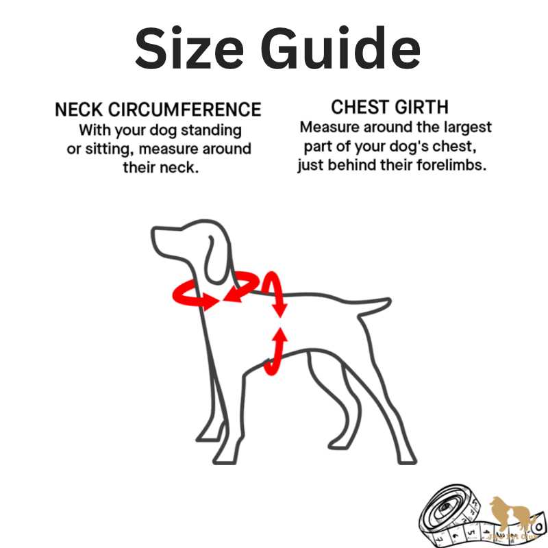 Dog Harness H5893