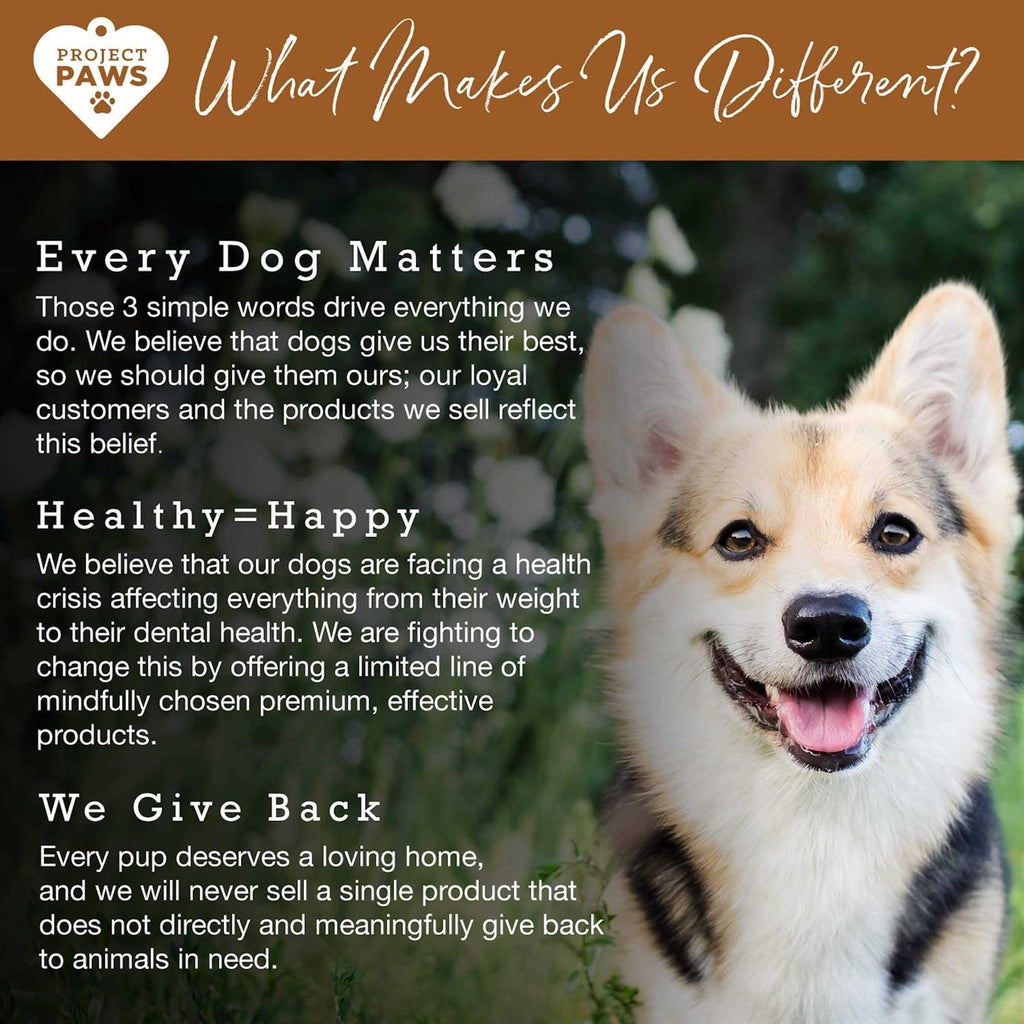 Bone Broth for Dogs with Elk Antler and Bone Collagen T317998