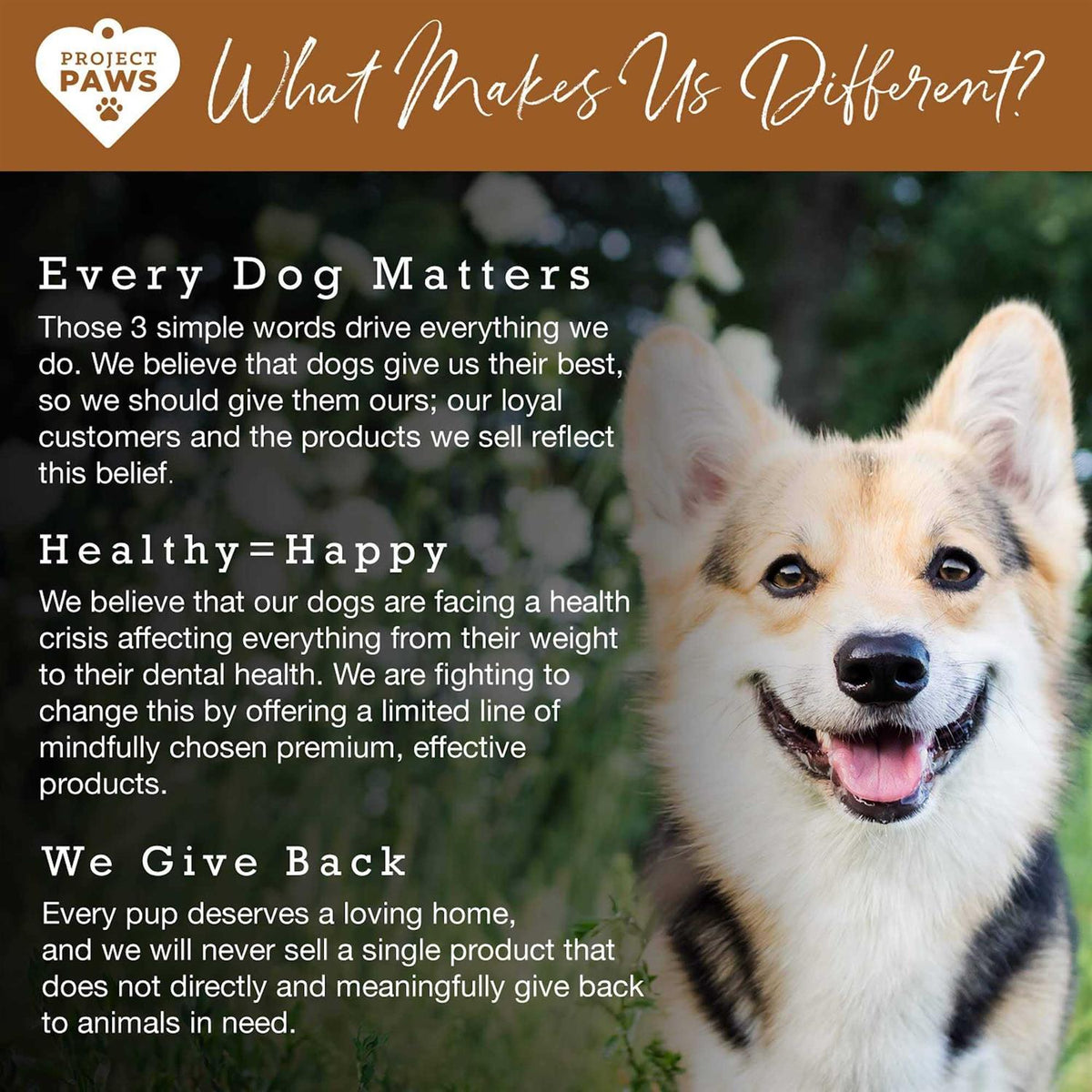Bone Broth for Dogs with Elk Antler and Bone Collagen T317998