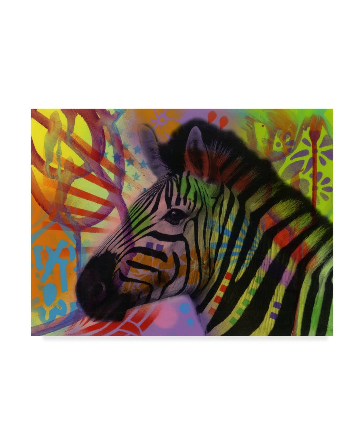 Zebra Canvas Art G885