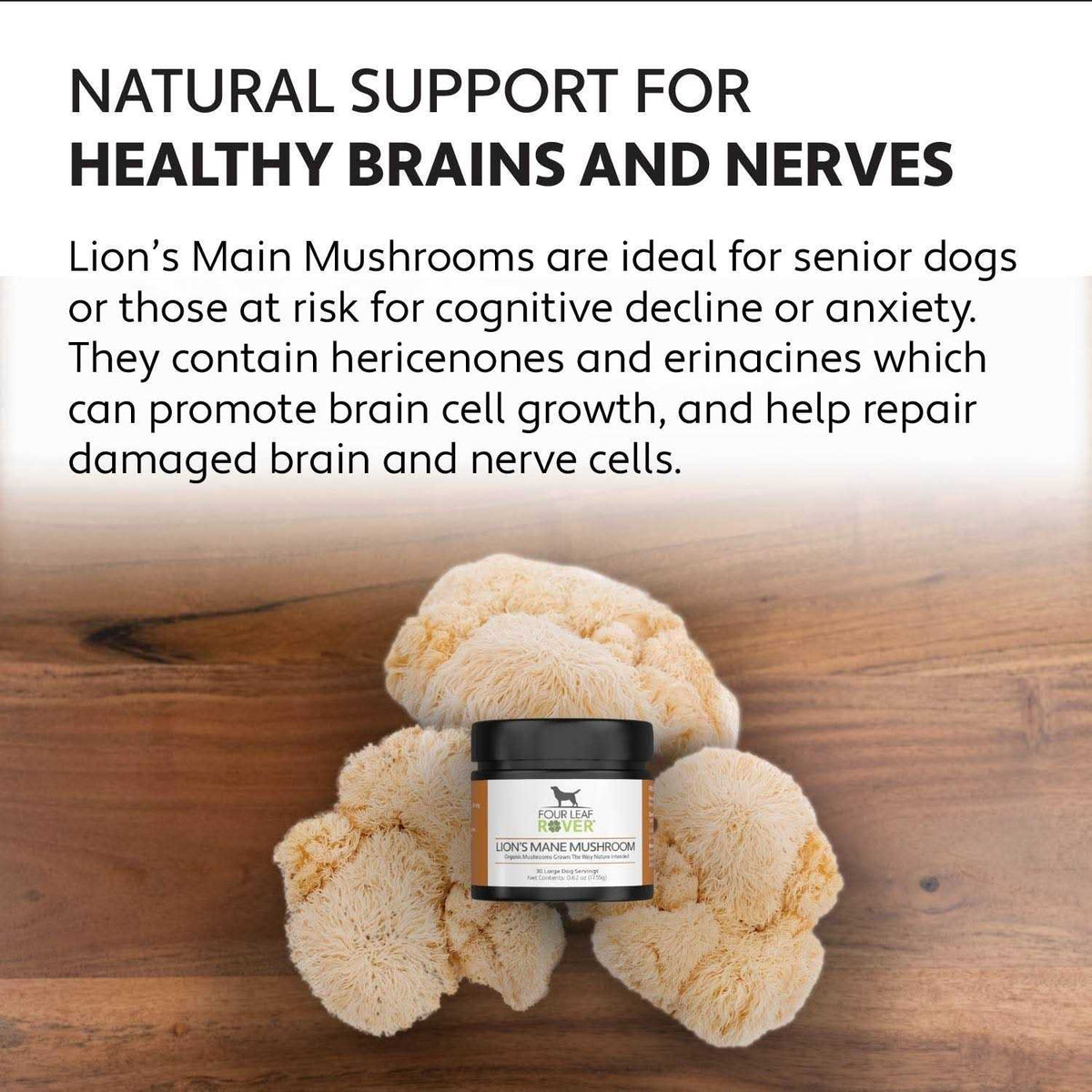 Organic Mushroom Extract for Dogs Q993787