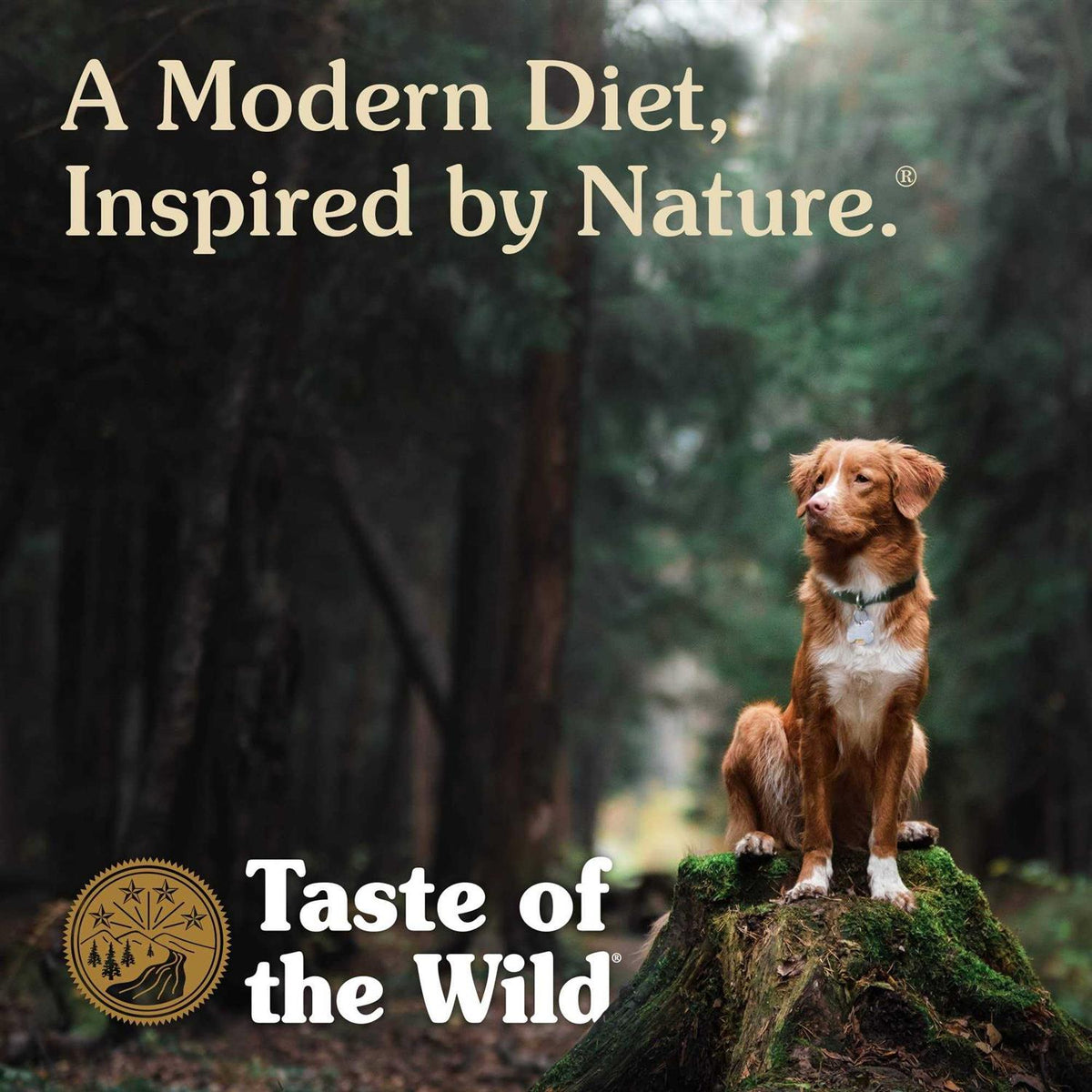 Dog Food T62640