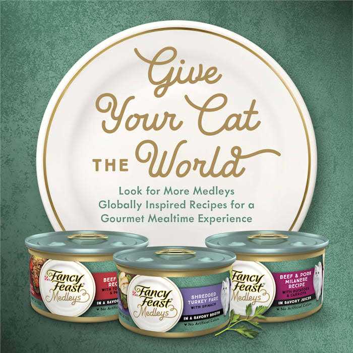 White Meat Chicken Spinach Wet Cat Food Can P1721
