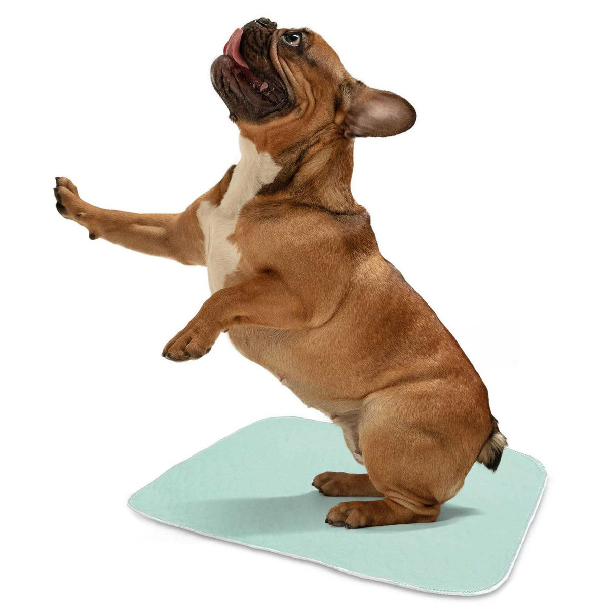 Washable Bed Pads F33630