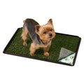Indoor Turf Dog Potty R9957