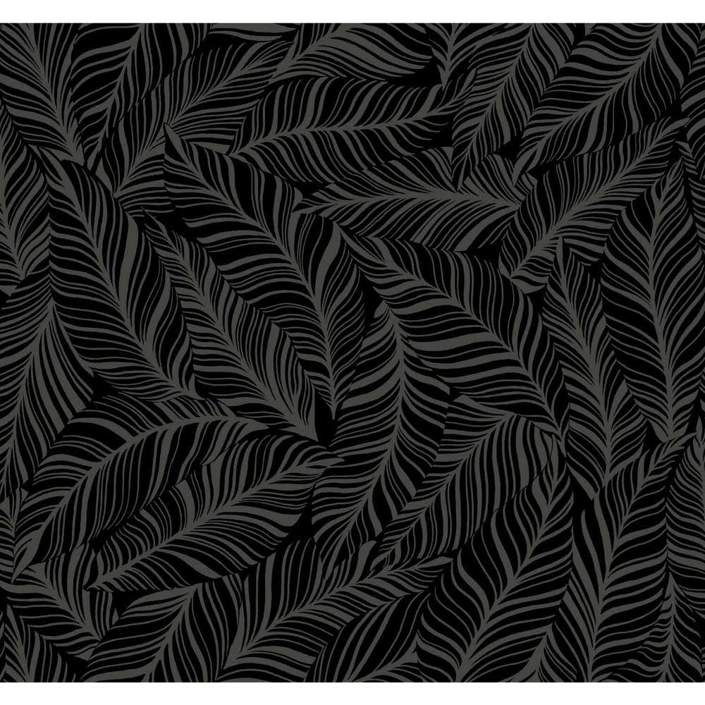 Black Rainforest Canopy Wallpaper P356