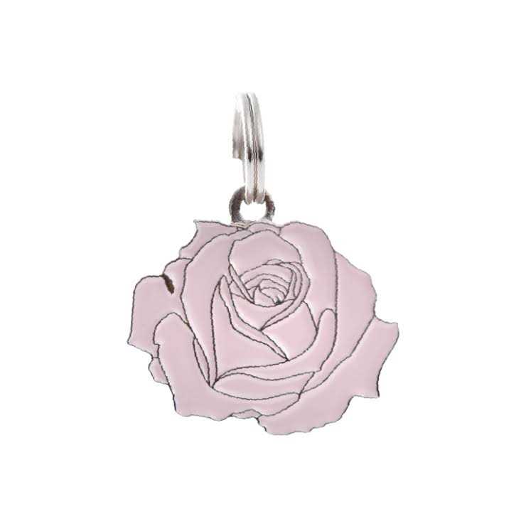 Rose Pet Y980674