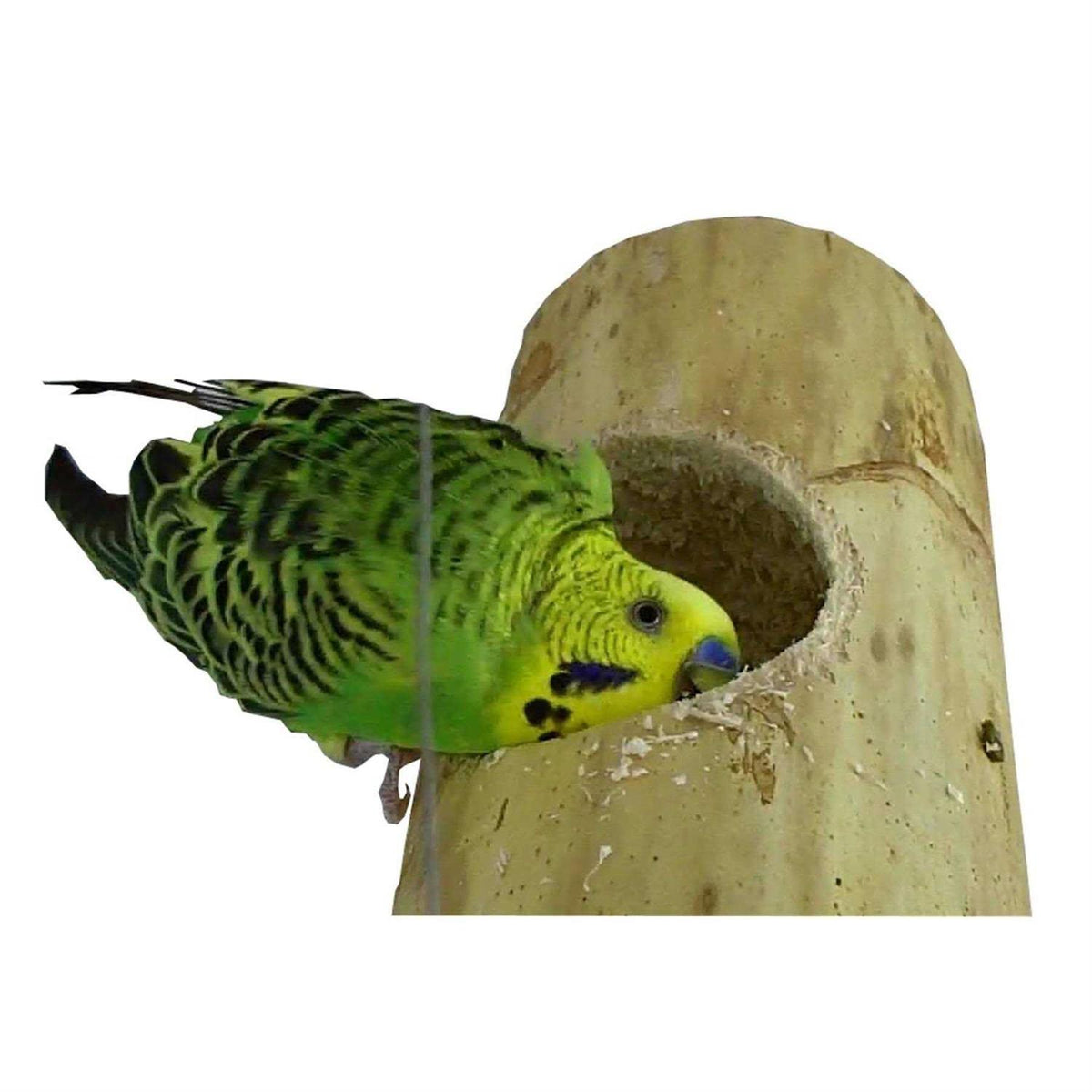 Bird Playnest H217