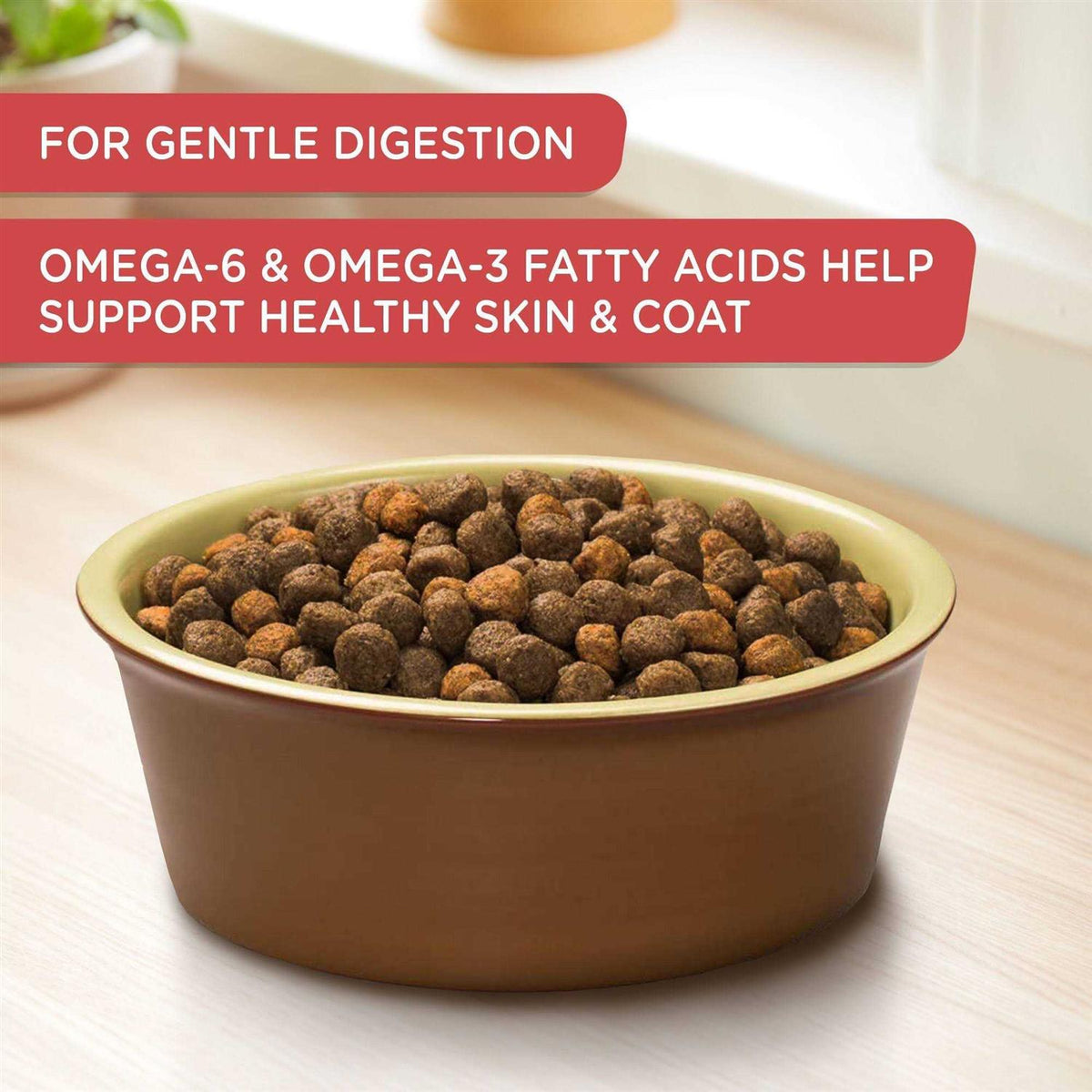Salmon Veggies & Brown Recipe Dry Dog Food A455189