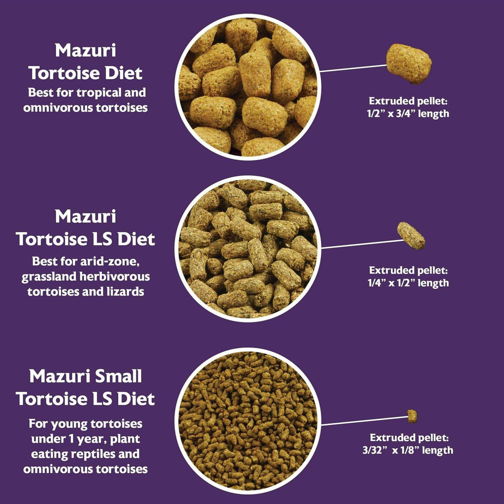 Small Tortoise Diet Food T4951