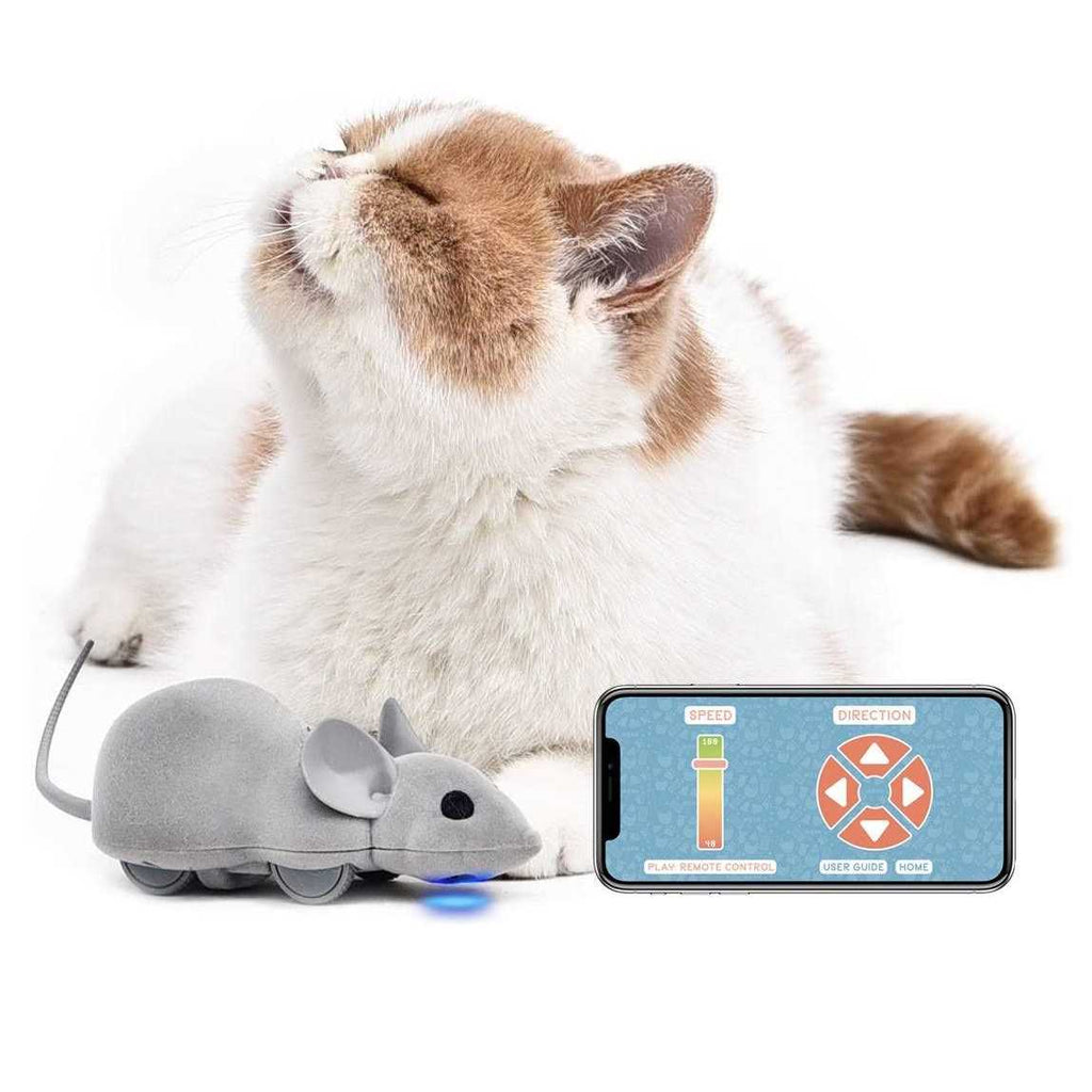 Cat Toy K465701