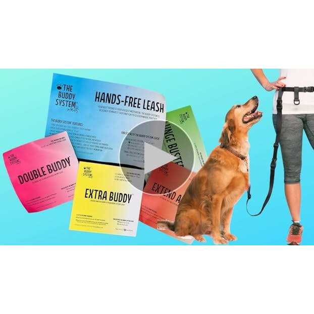 Adjustable Hands Free Dog Leash W478
