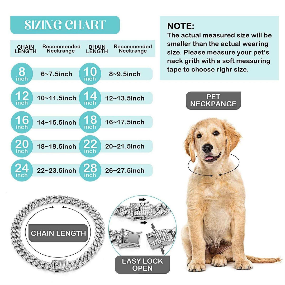 Metal Chain Dog Collar with Secure Buckle G18404