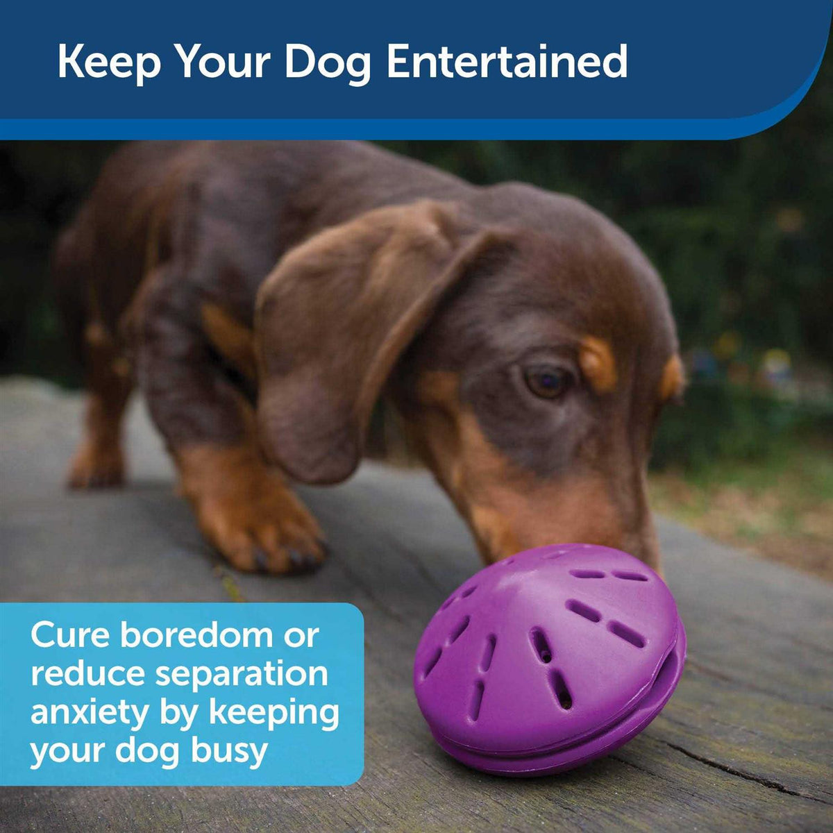 Dog Toy T87398