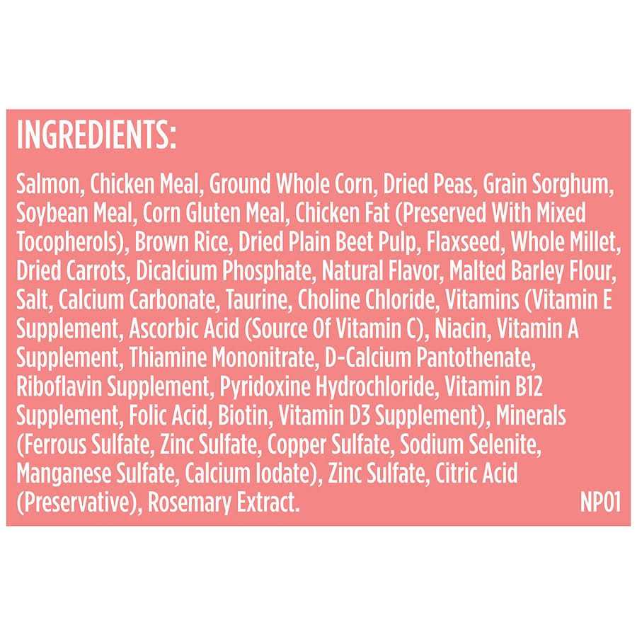 Salmon Veggies & Brown Recipe Dry Dog Food A455189
