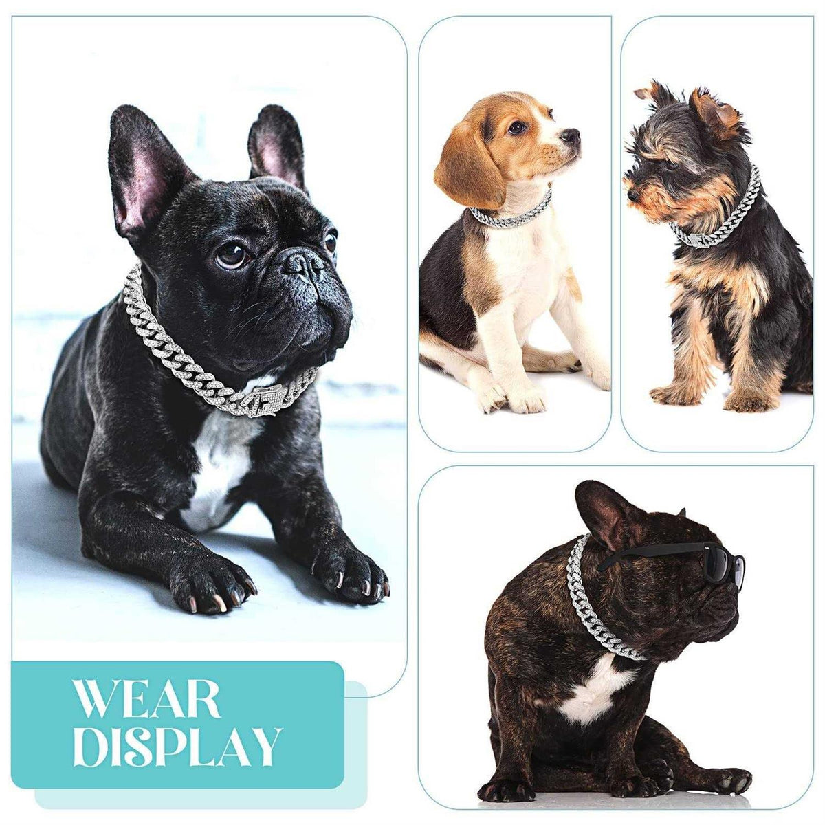 Metal Chain Dog Collar with Secure Buckle G18404