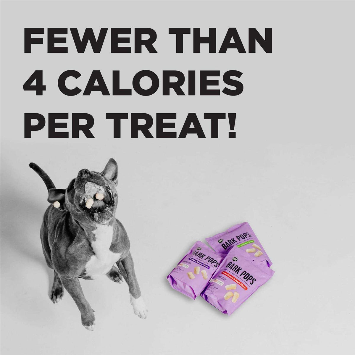 Dog Treats M1831