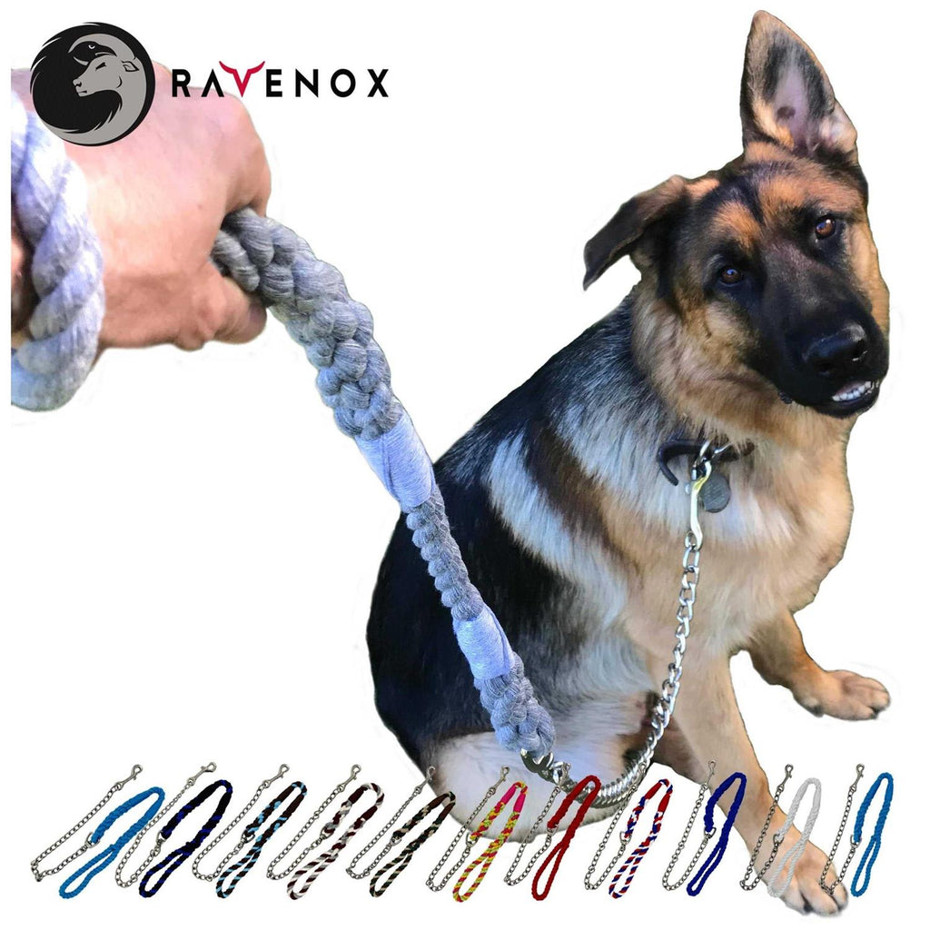 Dog Leash with Chain P175341