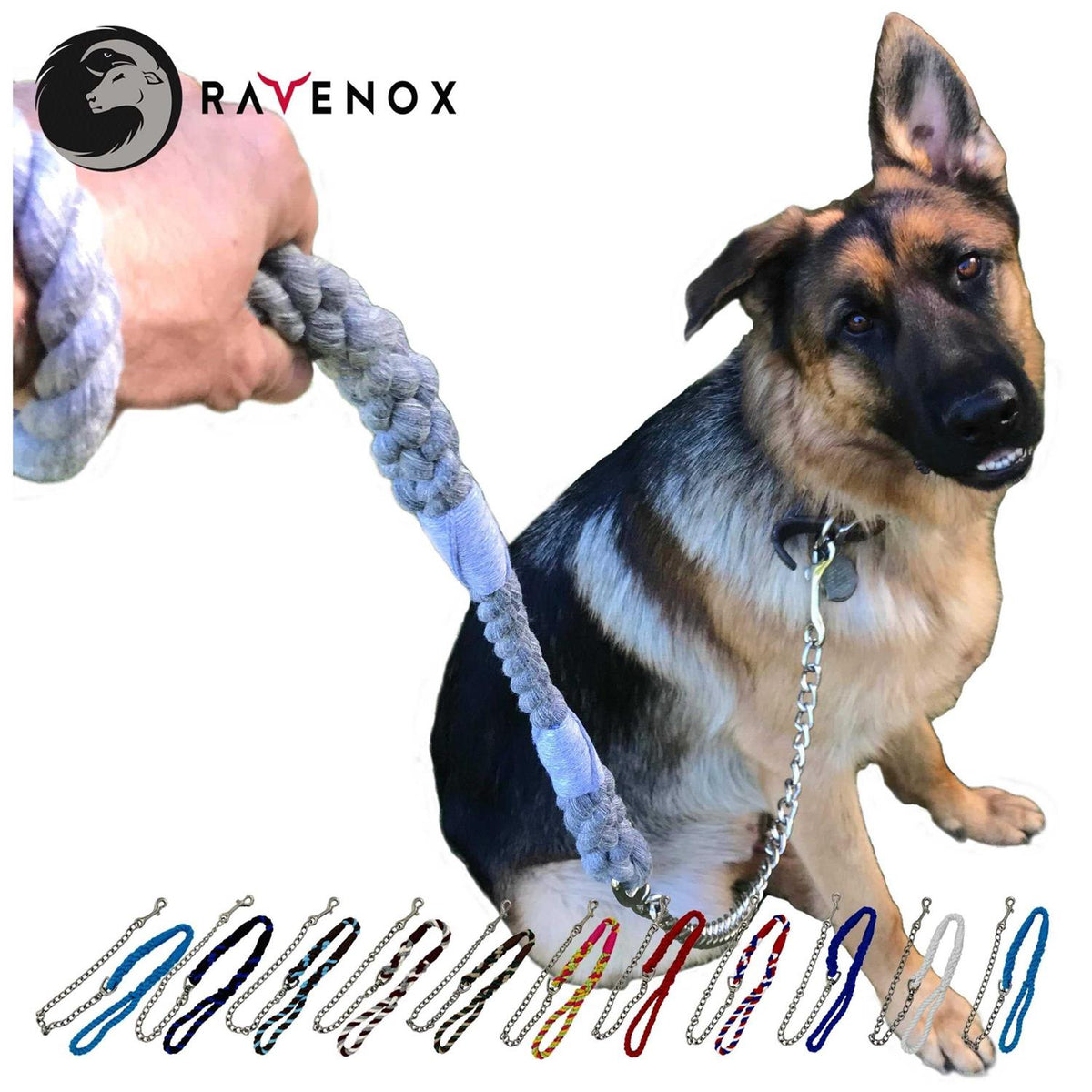 Dog Leash with Chain P175341