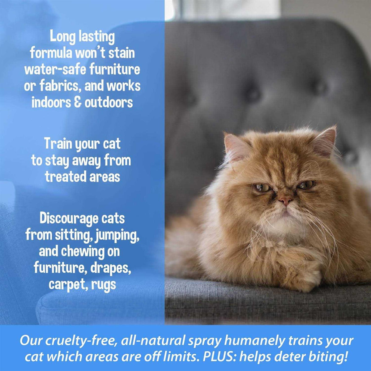 Cat Training Aid Spray V364115