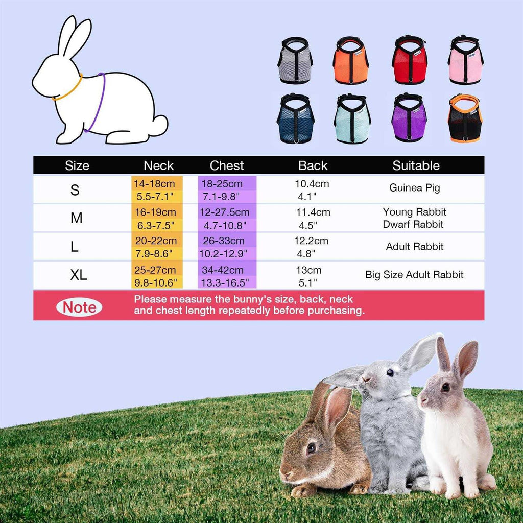 Adjustable Soft Harness with Elastic Leash W335