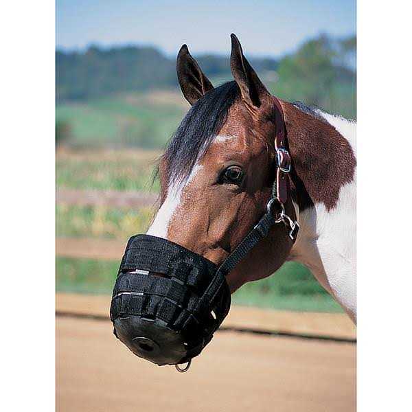 Leather Grazing Muzzle U725
