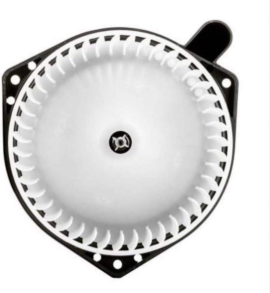 Blower Motor Assembly Z169102