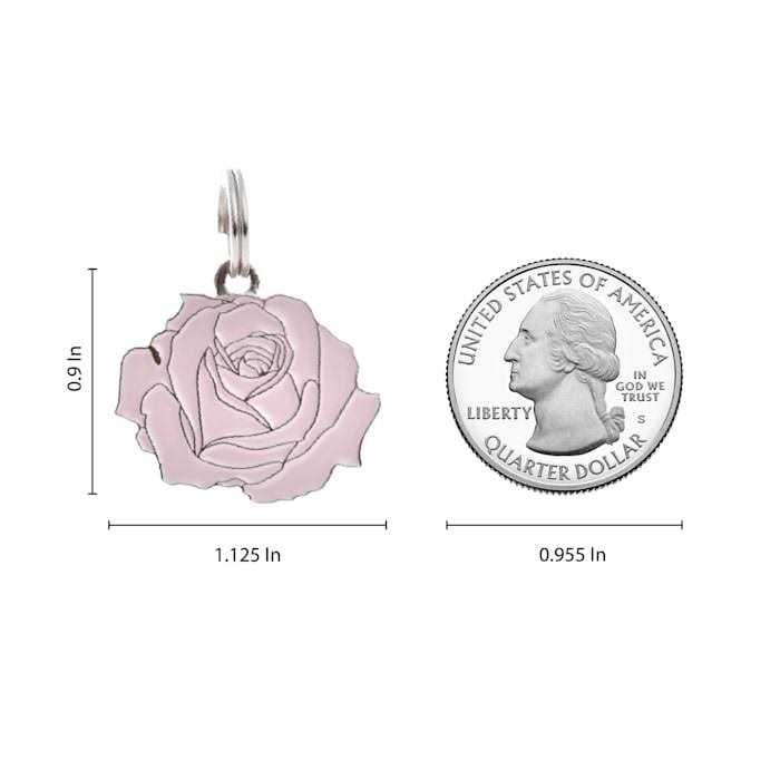 Rose Pet Y980674