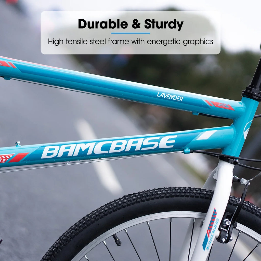 24 26 inch Mountain Bike 21 Speeds M5367