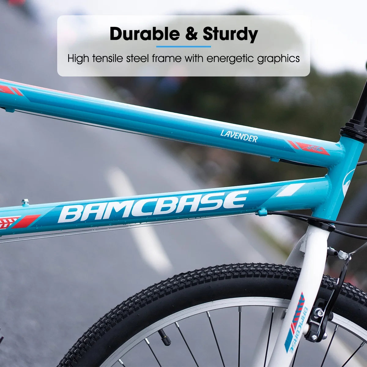 24 26 inch Mountain Bike 21 Speeds M5367