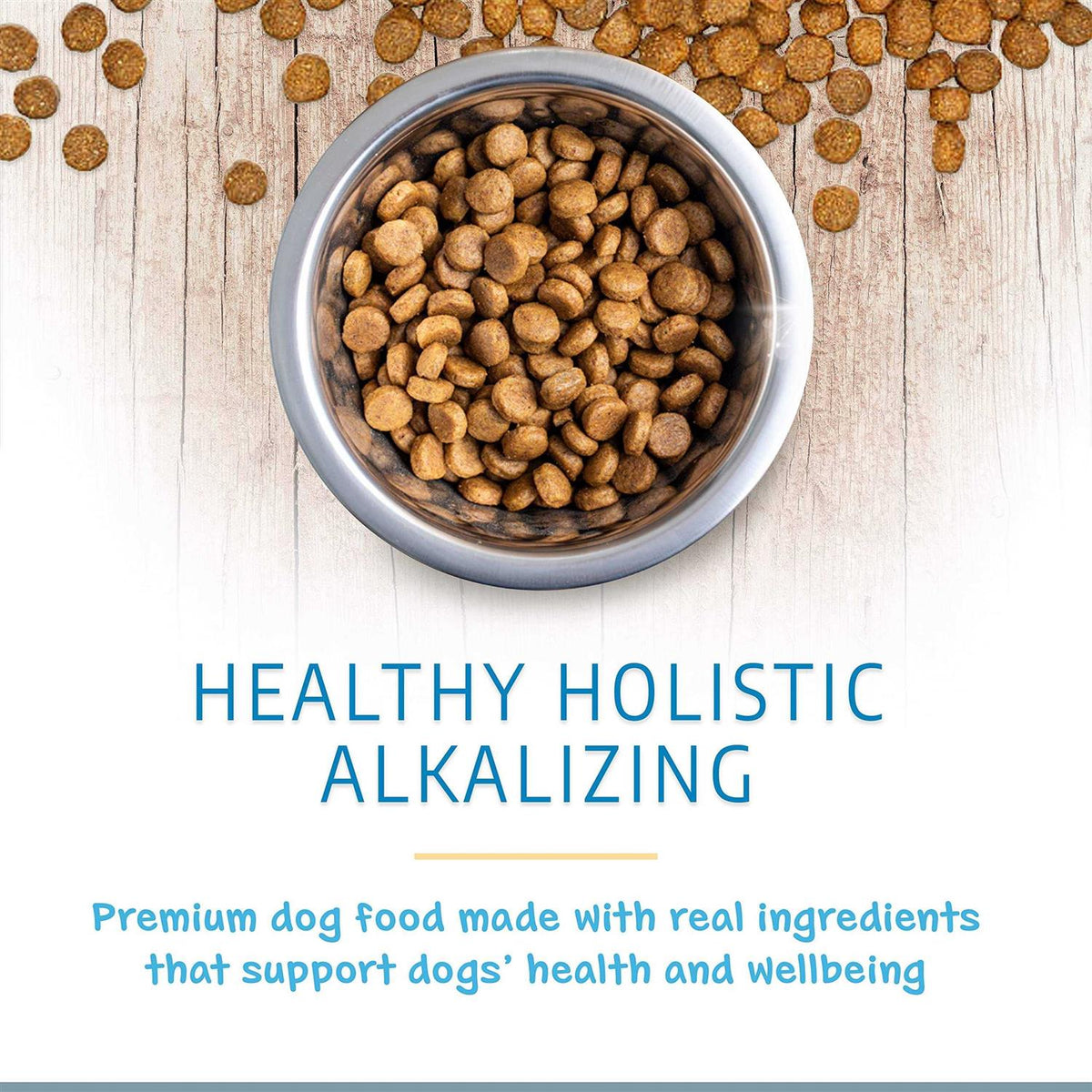 Grain-Free Dry Dog Food U308299