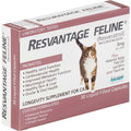 Feline R39691